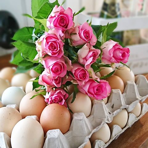 🌸🌸 Ja, jag vet att Påsken är slut... 😀 Men ägg är ju så himla gott, vi går till grannen ca. en gång i månaden och hämtar två flak ägg... Och ljuvliga blommorna är från "gubben" 😉 Ha en toppen dag, här är det strålande sol ☀ Kram 🌸🤗🌸
.
.
.
.
#interiordesign #inredning #levlandlig #torp #cottage #countryhomes #farmhouseliving #farmhousedecor #kök #kitchen #lantligakök #countrykitchen #farmhousekitchen #romantichomes #romantiskahem #super_shabby_channel #shabbychic_homes #countrycottagestyle #shabbychic