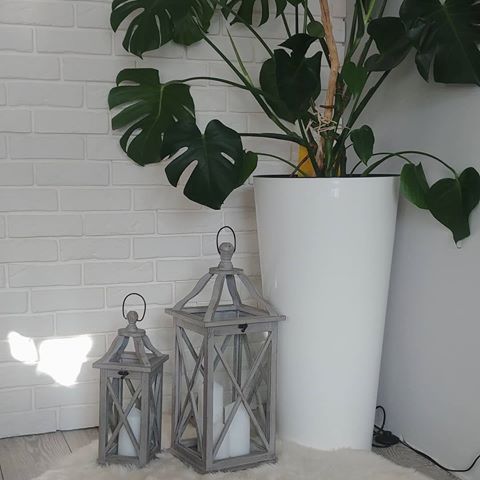 My private bit of a jungle🌿
Ohhh...have I already told you that I love home plants?! I will be posting more pictures of my homeplant collection soon 🌴
Lanterns: @floandcointeriors
.
.
#interiorobsessed #private #jungle  #homejungle #myhome #ohhh #haveitoldyou #ilove #homeplants #morepicturestocome #planthome #collection #monsteradeliciosa #lantern #lanterns #plantpot #planter #homedecor #livingroom #livingroomdecor #livingroomdesign #livingroominspo #homeinspo #homeinspiration #homedesign #homeideas #home_no85 #interiordesign #cosyhome #homedesigner