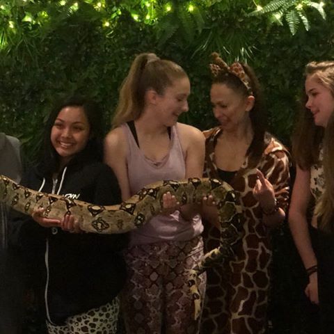 Took a little break from dance to hang out with jungle animals 🐍🦎🦂
#snakes#junglegirls#dancers#ballroom#ballet#hiphop
#contemporary#lyrical#triplethreats#followmyjourney
