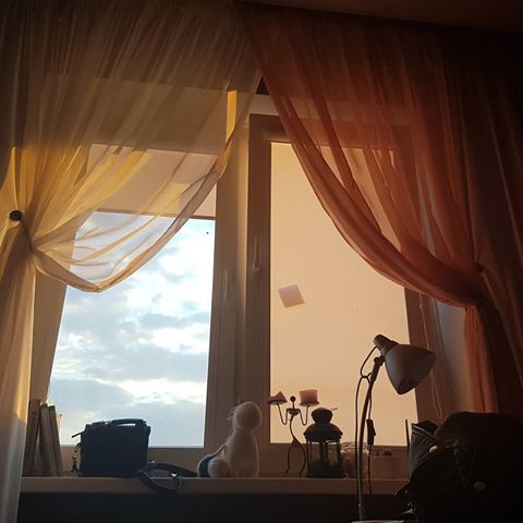 #art#designer#design#aesthetic#grunge#vintage#peace#love#cloud#sky#roof#sunset#window#curtain
#искусство#дизайнер#дизайн#эстетика#гранж#винтаж#мир#любовь#облака#небо#закат#крыша#занавески#подоконник