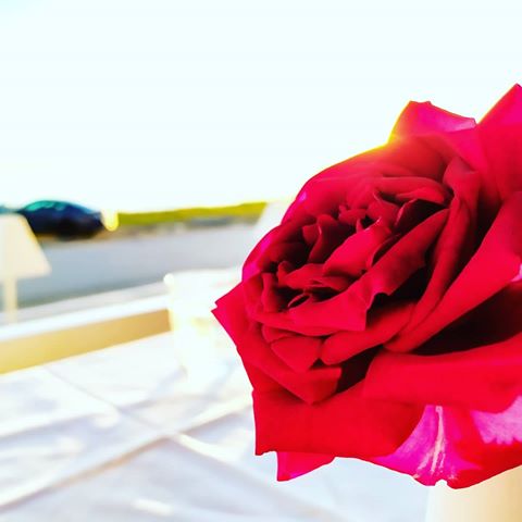 #greece #khalkidiki #sea #sunset #rose #spring #red