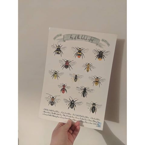 I do love bees 🐝
Happy Sunday everyone! .
.
.
.
#beesofinstagram #bees #art #prints @howellillustration #beauty #artwork #pictures #savebees #instahome #instgram #homesmells #homeproducts #homesweethome #homeaccount #hands #loveit