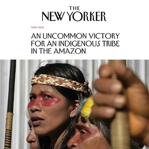 Great article about #WaoraniResistance in The New Yorker, looking into the historic victory of the Waorani people in the Ecuadorian Amazon to protect their land from oil extraction “We have shown the government to respect us, and the other indigenous people of the world, that we are guardians of the jungle, and we’re never going to sell our territory.” - Nemonte Nenquimo, Waorani leader