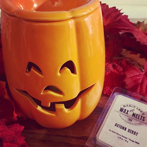 You GUYS!! 😍😍😍 This is one of the CUTEST dang wax warmers I’ve ever seen! 🍁🎃🍂🎃🍁 He’s so adorable and I’m just so smitten with him already. Along with the warmer I’ve also received the new Autumn Berry wax melts and they smell heavenly. I have them in the warmer now and I’m already smelling this lovely, slightly spicy berry and apple scent. Perfect for helping me to get into that fall mood. 🥰😌🥰 Warmer is now available @thecheekyunicorn. (I took a pic of it lit as well 👉*swipe for pic*) #wax #waxmelt #waxwarmer #jackolantern #pumpkins #fallmood #halloween #autumn #autumnberry #fall #icantwait #isitfallyet