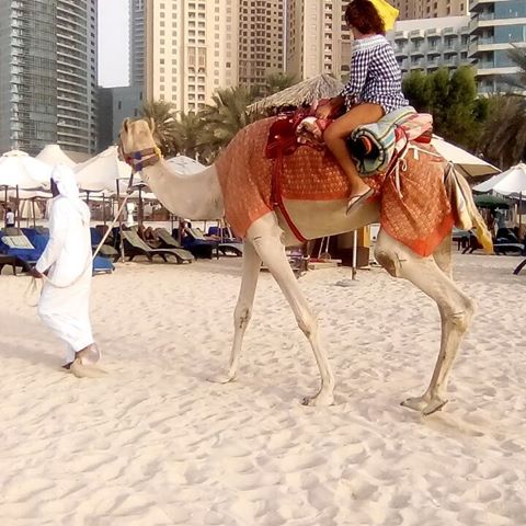 Типичная картина.
Небоскрёбы и верблюд 🐫 =)))
#красивыедома #проектирование#оренбургдома #архитектурноебюро#Интерьерныйдизайн#домназаказ#Дубай