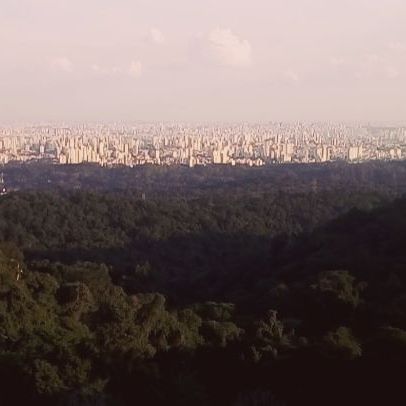 _/ View of São Paulo 🏙
#city #view #saopaulo #parque #buildings #discover #landscape #sunset #natureza #breathtaking #trees #hortas #calm #lake #hiking #nature #park