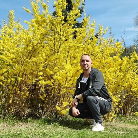 Форзиция цветёт. Последний день апреля. Велопрогулка.
#Pskov #Псков #Весна #Апрель #Велопрогулка #Цветение #Форзиция #fededuard