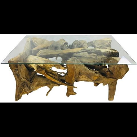 Solid Teak Root Coffee Table 110cm 
#coffeetable #teak #root #rusticdecor #rustic #homeinspo #homestyling #beautiful #wood #homeinterior #livingroom #livingroomdecor #living #livingroomdesign #decor #design #homedesign #homesweethome #furniture #homestyle