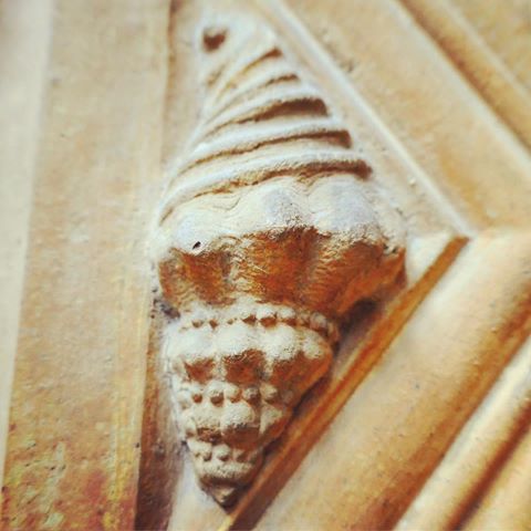 #hiddenLondon #hiddengem #visitlondon #timeoutlondon #stonework #nhm #naturalhistorymuseum #shell #stoneshell #shells #architecture #buildings