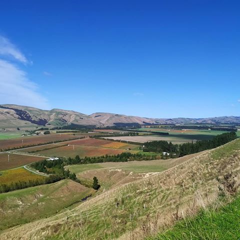 Autumn in New Zealand comes with colder wind and trees changing colours. More south you go, more colder it gets. Nature as always is stunning here. I really enjoy to go through country roads, where you can be in silence and watch sheep being funny.
#newzealand #newzealandlife #travelphotography #travel #instaphoto #instatravel #backpacking #workingholiday #photooftheday #naturephotography #nature #wild #countryside #ocean #travelblogger #destinationtravel #autumn
