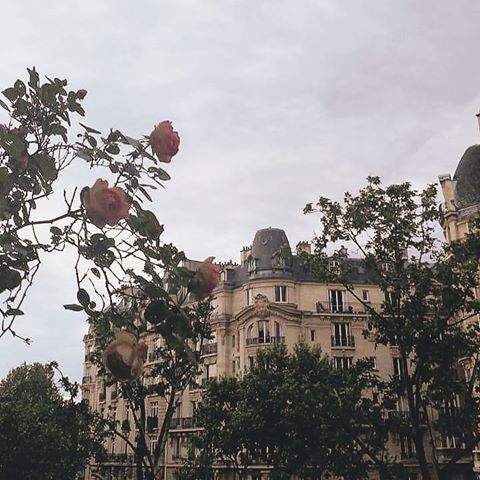 Parisian views
.
. .
.
.
. 
#travelphotography #travel #photography #travelgram #travelblogger #photooftheday #howtobeparisian #instagood #instatravel #parismood #photo #travelling #traveller #traveling #picoftheday #parisguru #architecture #parisianstreetstyle #traveler #lavieparisienne #beautifuldestinations #frenchmood #frenchgirldaily #streetphotography #mrbast0s #instaphoto #mthrworld #parisianlifestyle #paris #frenchvibes