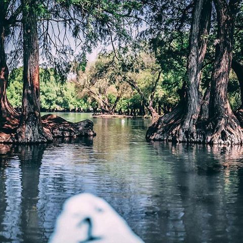 Life is better when you cry a little, Laugh a lot, and are thankful for everything you’ve got. .
.
.
.
#canon #6dmark2 #35mm #35mmphotography #lens #photography #photographer #photoshoot #photo #photooftheday #insta #instagram #instagood #instapic #trees #lake #water #boat #blur #blurphotography #bokeh #bokehphotography #green #lightroom #photoshop #nature #naturephotography