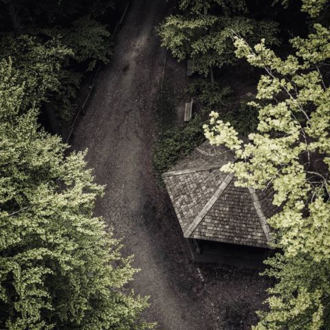 Beautiful paths not too far from where i am living!
#view #path #forest #woods #wooden #trip #hike #hiking #switzerland #zurich #loorenkopf #nikon #nikond800 #nikkor #photography #nature #naturephoto #naturephotography #naturelovers #mountains #swissnature #pinetrees #littlehouse #above #nodroneshoot #nature_good #zurich