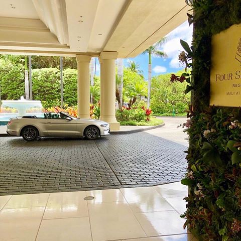 🌞Gorgeous Green Wall at the Four Seasons Maui, welcoming you to your island vacation!  #greenwalldesignsmaui #livingwall #healthierlifestyle #mobilane #easyinstallation #maui #greendesign #greenworkspace #verticalplanter #hawaii #gogreen #wailea #igers #follow4follow #like4like #hawaiianhome #wailearealty #homes #instalike #flowers #exploremaui #fourseasonsmaui #greenwalldesigns #greenwall #art #luckywelivehawaii #sustainable #mauibusiness #succulents #spa