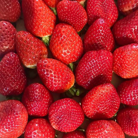 𝕊𝕋ℝ𝔸𝕎𝔹𝔼ℝℝ𝕀𝔼𝕊 🍓 
#sunday #strawberries #sweetie #fruit #colorus #drug #food #foodie #foodpassion #spring #homesweethome #tags #tagsforlike #like4likes #followme😘