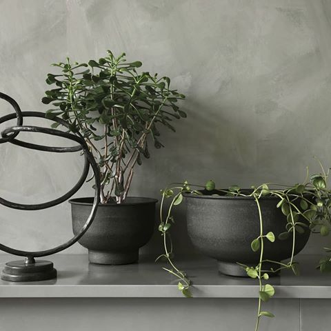 Refresh your home for spring. Adding plants and floral is the easiest way to brighten up things. 
Get your planters online today! @eesomehome 🌱