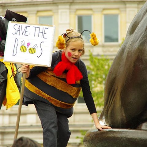 🐝 On Sunday, @xr_families_london and friends marched from Trafalgar Square to Buckingham Palace to hand in letters to the Queen asking her to declare a Bee Rehabilitation Programme on all her land across the UK. 
Without bees we would be very hungry - they pollinate much of the crops and plants that produce our food. Thirty-five species of bees in the UK are facing extinction because of habitat-loss and pesticides. 🐝 
#savethebees #extinctionrebellion #xrfamilies 
Photo by Terry Matthews
