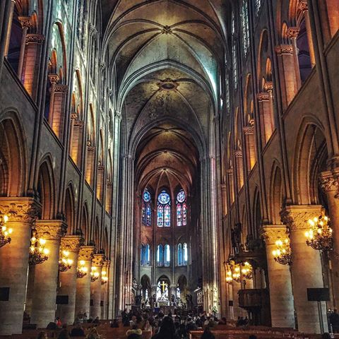 Usually you only see the facade of the famous Notre-Dame de Paris, however here's how it looks inside. It's equally beautiful as the outside. 🇫🇷
.
.
#paris #notredameparis #wheninparis #makingmemories #globetrotter #cathedral #livefree #traveltheworld #travellife #travelbug #backpacking #france #gallery_of_splash #neverstopexploring #adventureisoutthere #gayfit #travellife #instaboy #yololife #turismo #travelgram #travelbug #instagay #itravel #travelgram #lifewelltravelled #wonderfuldestinations #francia