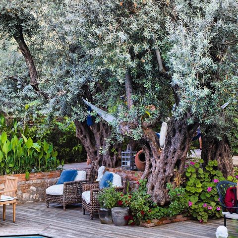 “. . . even at seventy, for example, you’ll plant olive trees. . .” — Nazim Hikmet Ran
@jaderesidence #boutiquehotel #oludeniz #turkey
〰️
🛎 Book your poetic getaway now! #jaderesidence
-
☎️ +90(252)617 0690
🌴 www.jade-residence.com
🗝 10 Oda / 10 Rooms
👤 Yetişkinlere Özel / Adults Only
💍 Romantik Lüks Küçük Otel / Small Luxury Romantic Hotel
💦 Beach Hotel / Sahil Oteli
-
#olivetree #ölüdeniz #oludeniz #smallhotels #honeymoon #honeymoonhotels #kucukoteller #welcome #instaturkey #vacation #holiday #travelgram #igtravel #instatravel #photooftheday #picoftheday #instadaily #turkey #beachhotel #kucukotellerjaderesidence #weekendvibes #luxuryworldtraveler #beautifulhotels