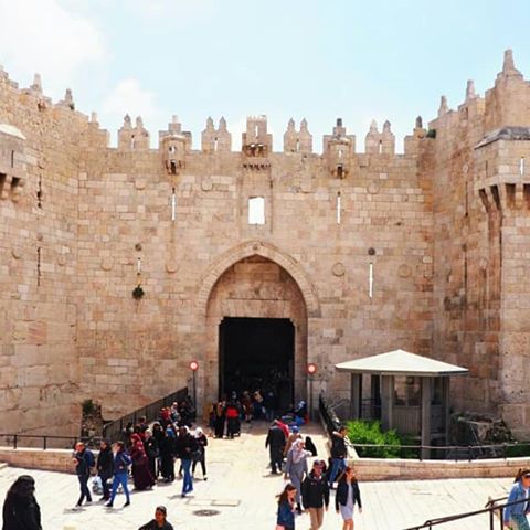 Damascus Gate is one of the main and probably the beautiest entrance to Old City of Jerusalem. Behind this gate located Islamic part of the city. Before this huge entrance is beautiful green park, which contrasts with the color of Jerusalem stone. 
#gate #entrance #damascus #damasc #city #oldcity #jerusalem #israel #traditional #traveling #travel #trip #jorney #world #life #beautyful #beauty #art #architecture #park #путешествие #ворота #дамаск #дамаскиеворота #израиль #иерусалим