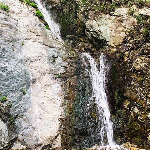 My happy place 🍃 #monroviafalls #nature #mothernature #waterfall #hiking #ighikers #instagram #beautiful #fun #socal #hikingtrail #weekendvibes #saturday #water #fresh #stream