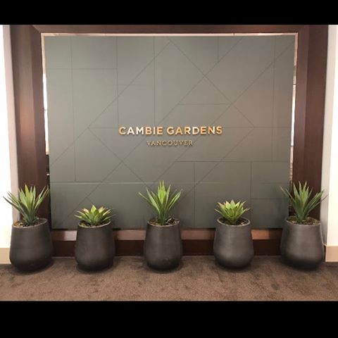 Stylish. Modern. No Maintenance Required!
•
Loved this installation with @onnigroup at their Cambie Gardens presentation center! Modern succulents rock topped in pear shaped pots from @atlaspots •
Looking for maintenance free artificial? Let us help you FAKE IT!
•
#trims #fakeit #artificialflowers #customdesign #fakeplants #permanentbotanicals #homedecor #designgoals •
•
•
•
#designstyle #displaysuite #presentationcenter #yvr #maintenancefree #moderndesign #loveyourhome #interiordesign #luxuryliving #currentdesignsituation #itsallinthedetails #designcenter #vancouverrealestate #mlsvancouver #vancouverliving #westcoaststyle #vancity #customdesign #dailydecordose #vancouverdeveloper