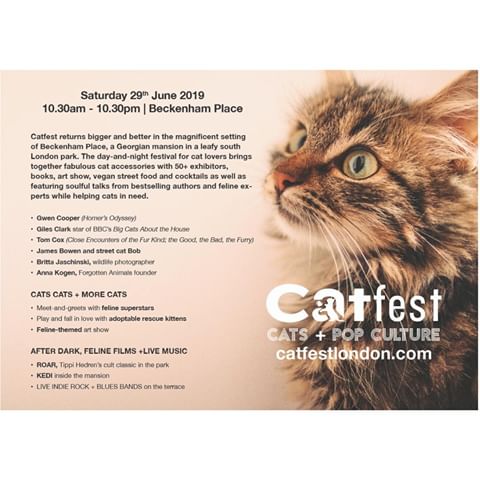 Attention cat fans! CatFest is returning for it's second year bursting with cat gifts, cat themed food and drinks, adorable and adoptable rescue kittens and even some celebrity cats and their owners! Oh, and I'll be there with plenty of honeysuckle cat toys so you can give your own furry feline a treat! 
#MeowMonday #CatFest #CatsOfInstagram #InstaCats #InstaCat #InstaPet #InstaCat_Meows #InstaKitty #Cat #Cats #CatLover #CatLovers #CatLove #ILoveMyCat #Meow #Kitty #KittyCat #KittyLove #CuteCats #Honeysucklecats