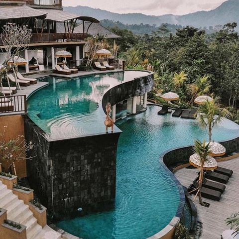 Wapa di Ume Resort, Ubud, Bali 🌴 picture by @micheli_fernandes .
Turn that follow button white to help us bring our content to more people like you @Luxturious 👈🏽
-
We do the research for the best luxury content for you - Enjoy!
.
.
#billionairelife #rich #luxurylife #makemoneyfromhome #investingtips #wealthy #bentleycontinental #finacialfreedom #billionairelifestyle #luxliving #expensivehomes #dreamhome #lamborghini #luxuryhome #billionaires #mansions #business #luxurycar #expensive #warrenbuffet #luxuryquotes #luxuryview #megamansion #billionaire #luxurydesign #luxuryhomes