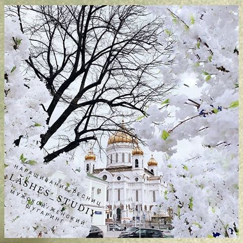 Москва начинает цвести настоящими цветами!! Уже распустились тюльпаны, сакура, скоро пойдёт вишня, яблони, сирень! ￼
⠀Время заняться собой ￼￼
#lashestudiy#наращивание#наращиваниересниц#москва#moscow_master_model#требуютьсямодели