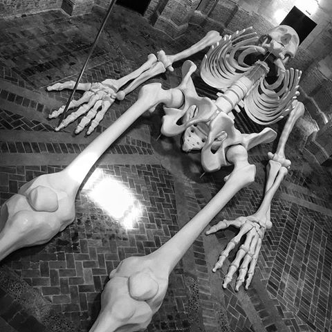 Calamita Cosmica. Gino De Dominicis.
. . . . .
Gino De Dominicis, “egli stesso opera d’arte senza fine, originaria e carica di segreto” Ansel Kiefer.
. . . . .
#art #arte #artecontemporanea #calamitacosmica #scheletro #bone #bones #skeleton #skeletonart #followme #contemporaryart #artist #cultura #culture #artlovers #artlover #awesome #cool #foligno #umbria #italy #italia #visititaly #umbriagram #ginodedominicis #sculpture #sculptures #sculptureart #artphotography