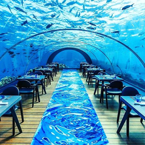 Beautiful scenary,, who would you take to this underwater restuarant 📸 @hurawalhi