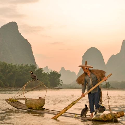 7 of 7 | The cormorant fishermen of Xingping in China.⁣
I saved this until number 7 because it's such a quirky personal pick. I doubt it's on anyones list or radar, but, long before I had the means to travel, I saw an image like this and it ignited a deep intrigue to travel to which ever land it was from. Over the years I worked out it was in a tiny town in China and after a long time of searching, one evening, as the sun was going down I saw them! I had to wade out across part of a river to get to them and it was just so worth it.⁣
⁣
What is YOUR wonder of the world? Is there something in the world that you would LOVE to see? ⁣
⁣
#thebackpackingfamily #backpackingfamily #familytraveleurope #family  #familytravel #goprouk #ad #travelfamily #familytravelblog #travellingfamily #travelmum #traveldad #travelbaby  #travelwithababy #travelwithkids  #familygapyear ⁣
#familyadventures #hearfelttravel #adventurelife #familytime #familyphotography #familygoals #bbctravel #kidstravel #travelkids⁣
#parenting #babywearing ⁣