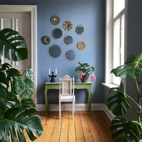 Memories of the mirror wall & the beautiful Medinilla, which doesn't want to bloom this year 🌸 🌿 🤷🏻‍♀️
•
•
•
•
•
•
[Werbung] Verlinkung/ unbeauftragt 
#myhome #suturdayymood #atmine #urbanjungle #urbanjunglebloggers #monstera #interiordesign #interior #roominspiration #plants #furniture #furnituredesign #homestyle #midcentury #solebich #midcenturymodern #vintagefurniture #einrichtung #vintage #altbau #nordic #design #woodenfloor #sunburst #mirror #bluewall #fiddleleaf