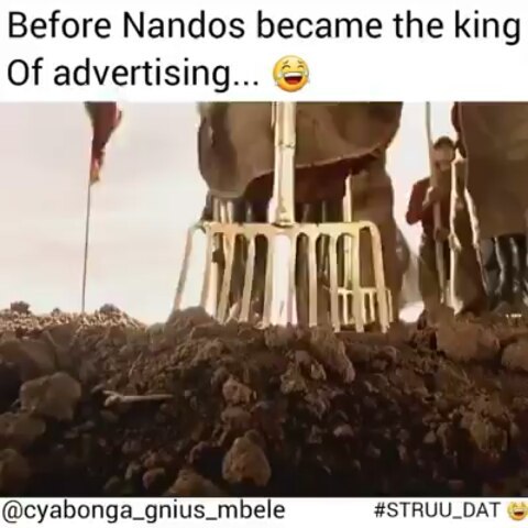 #simba #ad #nostalgic #ialsowannabeasimbachippy