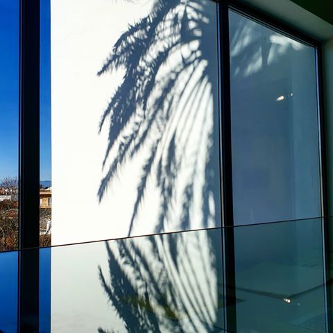 R E F L E C T I O N
.
.
.
.
.
#reflection #mirror #shadows #r
tree #sky #sky_lovers #instasky #building #interiorarchitect #interior #love #blue #color #instagood #instadaily #instaphoto #photooftheday #picoftheday #likeforlikes #likeforlike #like4like #followforfollowback #followforfollow #cyprus #nicosia