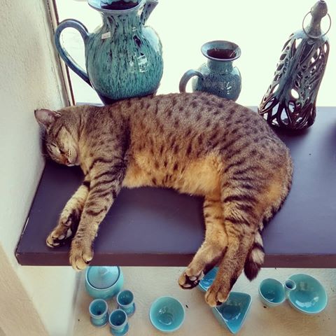 Dwelling in some really nice memories of my holidays in Crete - just have a look on this amazing, cute puss!
Found her (at least I think this is a girl) in the awesome #hydriaceramics workshop near #rhetymnon but actually hidden somewhere far beyond.
Be sure to visit the workshop. They have some high quality pottery!
#crete #kreta #greece #griechenland #rhetymnon #pottery #töpferei #ceramics #ceramic #keramik #cat #pussycats #workshop #werkstatt #töpfern