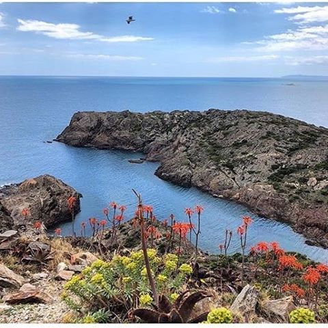Cap de Creus is a perfect combination of spectacular landscapes and an ideal place to disconnect feel the freedom! 
@enaira____ 
@costabravapirineu