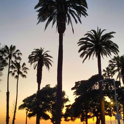Glowin #sunset in Santa Monica
.
.
#southwestadventures #LA #losangeles #cityofangels #losangeles_la #santamonica #santabarbara #westcoast #pacificcoast #pacificbeach #palmtrees #californiaadventure #caligrammers #cali #california #californiadreaming #instagram #instagood #picoftheday #ig #igers #alwaysonthego #bestoftheday #igers #instago #america #usa #travelphotography #travelgram