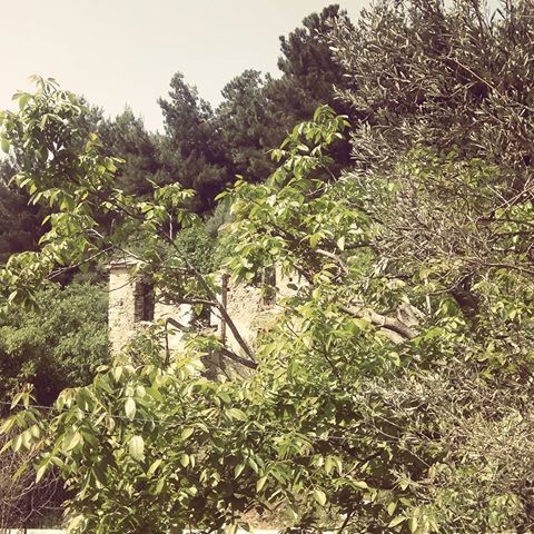 #oldhouse #kanalia #village #easter