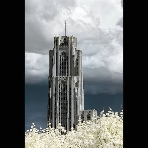 Cathedral of Learning
University of Pittsburgh
#pittsburgh
#720nm
#infrared
#ir
#threerivers
#city
#creativeinfrared_americas
#infraredphoto
#infraredphotography
#irphoto
#ir_photo
#irphoto
#infraredworld
#creativeinfrared_world
#kolarivision
#nikonD7100
#nikon18-140mm
#cityscape
#college
#university
#skies
#sky
#architecture
#buildings