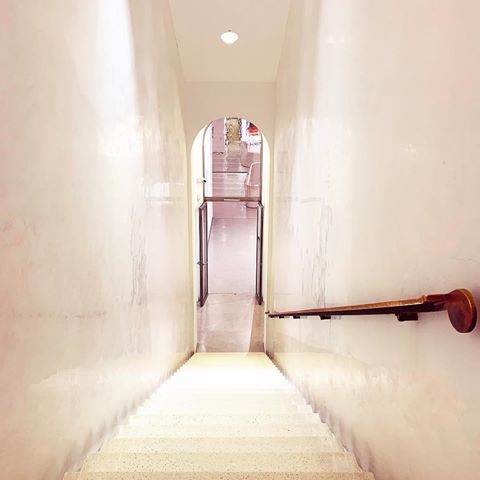 In the #light of #white - #stairs in the #städelmuseum .
.
.
.
.
.
.
.
#stairway #lookingup #architecture #frankfurt #interior #minimal #minimalism #whitephoto #stairsdesign #interiordesign #symmetry #steps #treppe #treppenhaus #blackandwhitephotography #light #symmetrical #architecturelovers #picture #pictureday #exploretheworld #igersmood #igersfrankfurt #frankfurtdubistsowunderbar #neverstopexploring #explore #architecture #whiteinterior