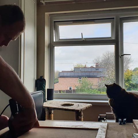 Every workshop should have a cat supervisor 😊😺
•
•
#smallbusiness #supportsmallbusiness #woodwork #selfieboard #Guestboards #guestbooks #supportsmallbussinessuk #buildsbyburrow #bbb #wedding #christening #party #decorations #catsofinstagram