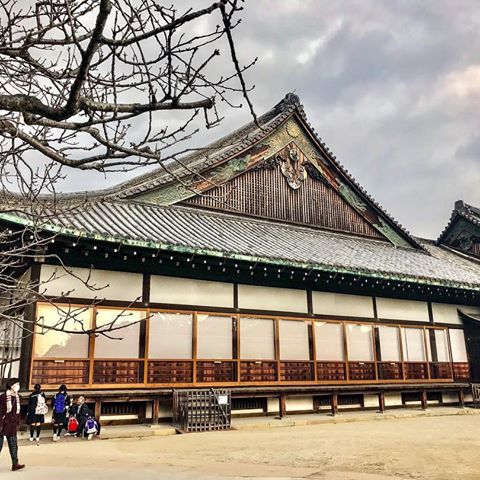 🇯🇵 This Palace served as the residence and office of the shogun during his visits to Kyoto and now that it is still in its original form, the palace with multiple separate buildings, are connected with each other by corridors with so called nightingale floors which squeaks when stepped upon as a security measure against intruders
.
.
.
.
#throwback #travelphotography #iphonephotography #japan  #travel #traveller #travelabroad #traveladdict #travelgram #wanderlust #travelblogger #travellife #instatravel #beautifuldestinations #architecture #travelawesome #travellersnotebook #mytravelgram #igtravel #seetheworld #travellingthroughtheworld #passionpassport #photooftheday #doyoutravel #travelingram #instagood #traveltheworld #travelholic #travelstoke