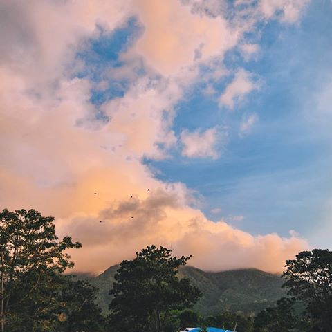 Птицы
#прекрасноерядом #закат #пейзаж #путешествие #sunset #goldenhour #island #girl #philippines #sky #artofvisuals #adventuretime #natgeotravel #beautifulplanet #travelphotography #travel #trip #nikon #nikonru #nikonphotography