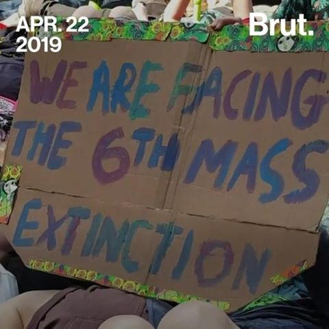 #Regram #RG @brutamerica:
London's Natural History Museum was the site of a "die-in" protest by climate change activists, following the arrest of more than 1,000 activists in the week since protests first began in the city. The activists, from the group @extinctionrebellion, have staged protests at various sites around London with the goal of stopping what they call a "global climate crisis."
#uk #London #protest #climate #climatechange #nature #environment #earthday #Brut #BrutAmerica #brutmoments